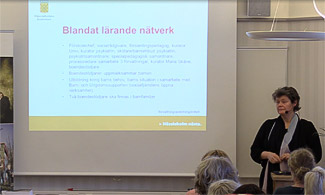 Bild på Stina Lindén som föreläser