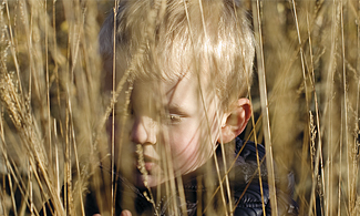 Bild på en pojke som sitter i ett havre fält 